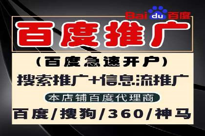百度SEO推广公司成功案例：助力企业实现流量暴增